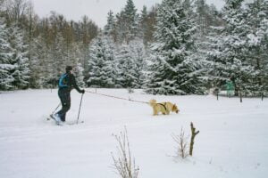 Zimowy bieg z Lolkiem