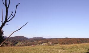 Widok na Beskid Niski